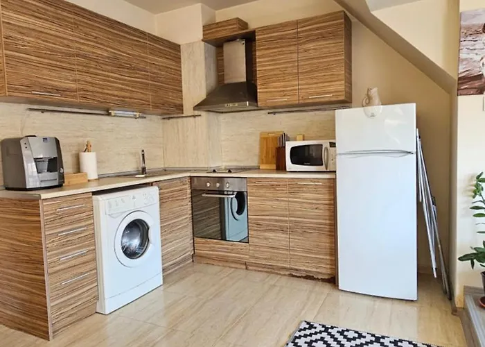 уютно студио до центъра на * 布尔加斯